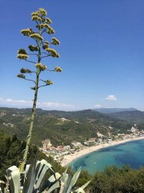 Saarihyppely #6: Korfu tarjoaa hieman erilaista Kreikkaa - Parasta matkalla