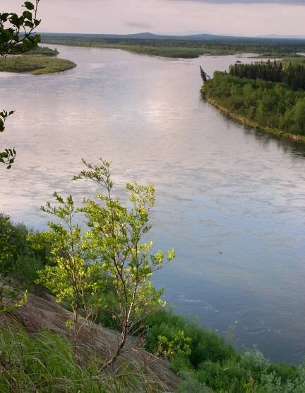 Nushagak River Photos