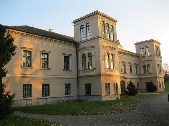 Navštivte netopýry – Na půdě