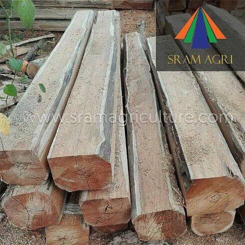 MERBAU WOOD