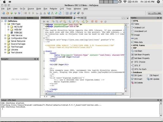 Screenshots of the NetBeans IDE in action 