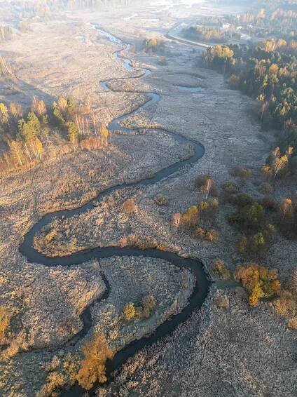 river poland Landscape wild Ecology Travel autumn Nature drone Aerial