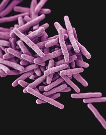 Can John Green Make You Care About Tuberculosis? — The New York Times