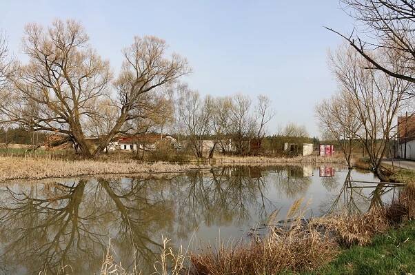 Soubor:Planá nad Lužnicí, Lhota Samoty, small pond.jpg – Wikipedie