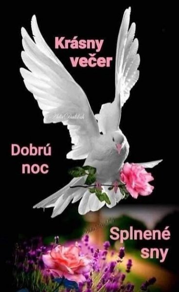 a white dove with pink flowers in its beak and the words dobrou noc splene say