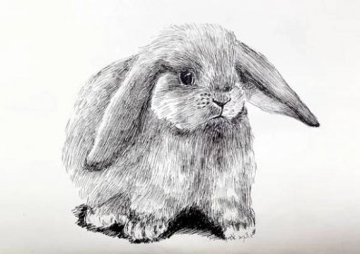 Králík - ilustrace. Detailní výkres načechrané roztomilé rozrušený králík ikony nakreslené liner. — Stock obrázek
