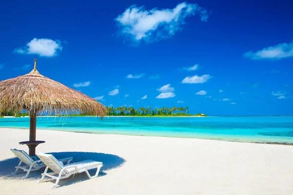 Private Air Charters to Florida | Odyssey Blog