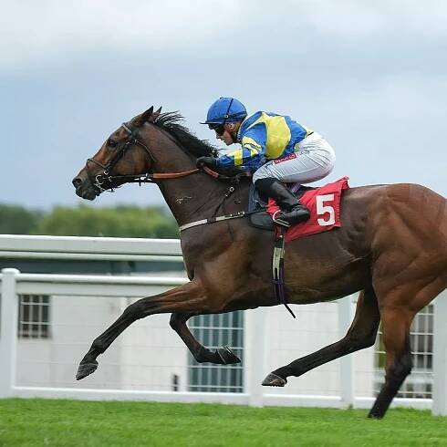 Alan King chokes up over death of Trueshan as second horse breaks down at Goodwood
