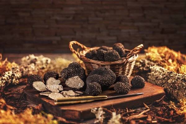 The Hidden Treasures of Istria: A Journey into the World of Truffles