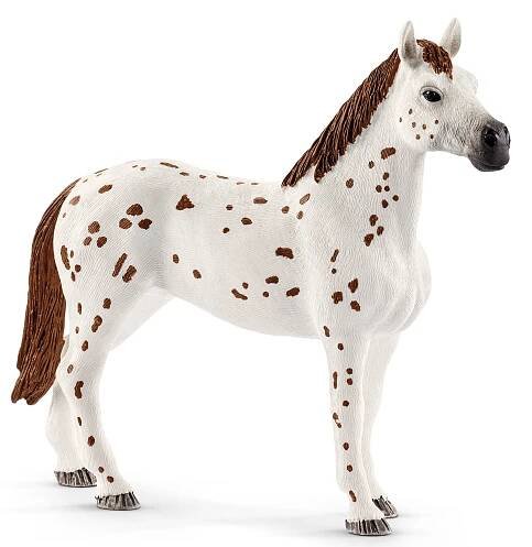 Schleich Set appalosští koně a tréninkové příslušenstí 42433