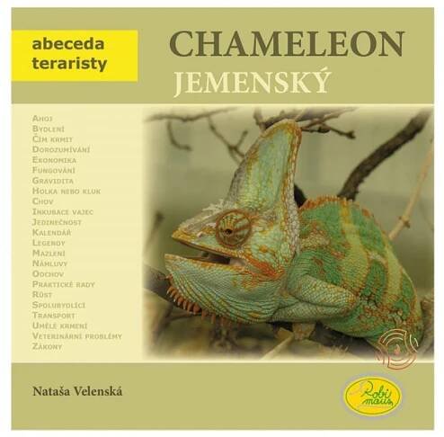 Chameleon jemenský