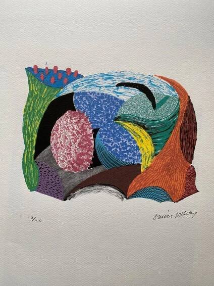 DAVID HOCKNEY !TOP! UNIKÁTNÍ LITOGRAFIE !! - Výtvarné umění