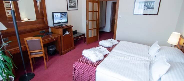 Spa Hotel Villa Smetana