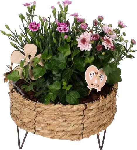 Letní aranžmá v kulatém košíku pr. cca 23 cm
