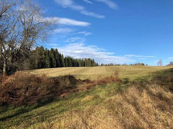 Cottage for rent Volary - Chlum