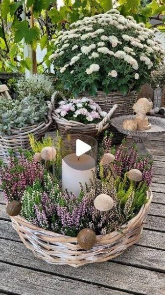 Dani 🧚 on Instagram: "🌸Maronen im Heidekranz🌸 Zum #Freitagsrock darf zunächst genascht werden, denn es gibt heute den DIY Klassiker der Toffifee Pilze mit ei… | Bougeoirs