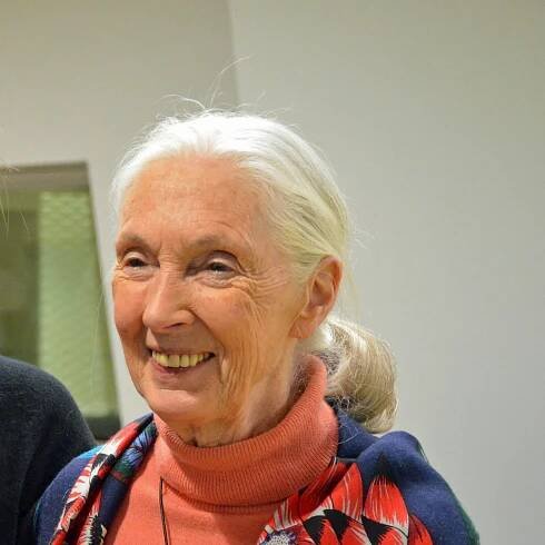 Jane Goodallová - nová generace (2020)