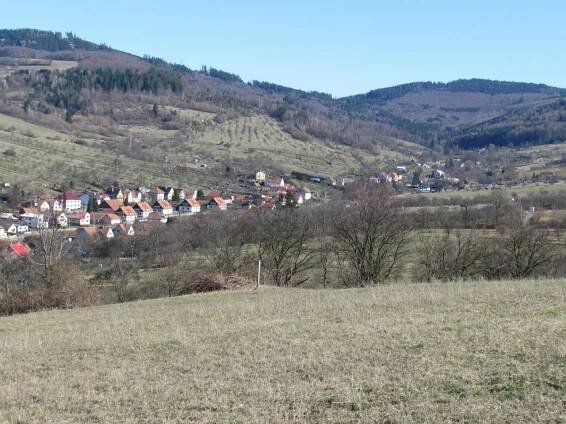 Březen 2020 - Oficiální stránky obce Nedašov