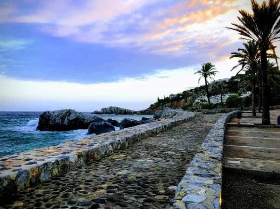 CAMINO JUNTO AL MAR  CON PALMERAS — Stock obrázek