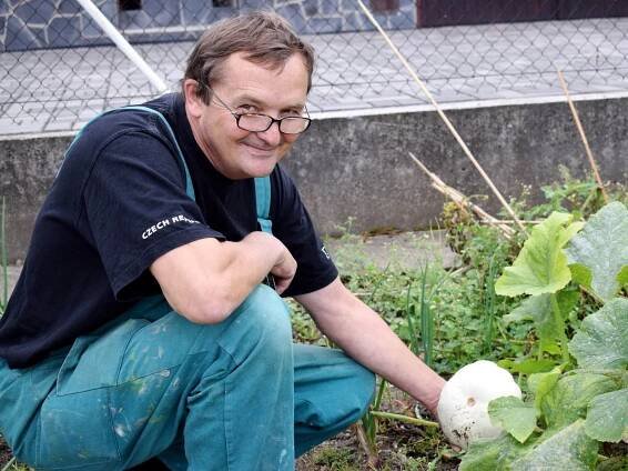 Mrazíky zahradnictvím příliš neublížily, sadby je dost