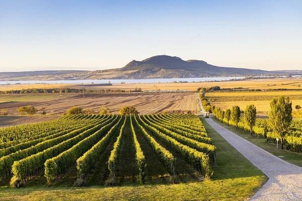 VOC jako cíl. Odhodlejte se pojmout vinařskou turistiku jinak
