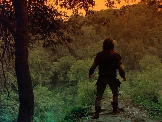 Robin Hood (1984)