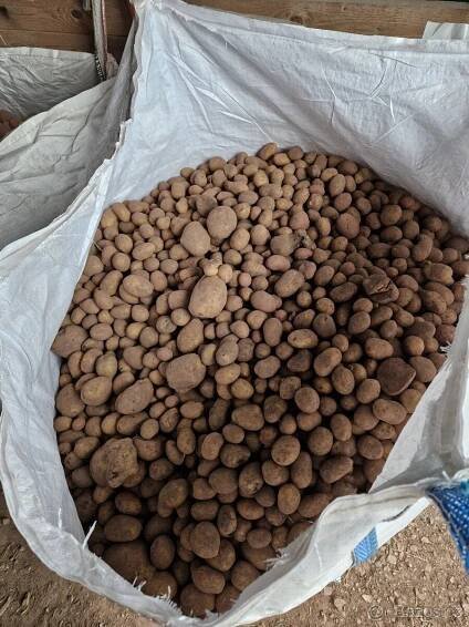 Prodáme krmné brambory.  Cena 3 Kč/kg