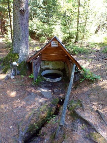 Máchova studánka (Běleč nad Orlicí, 21.7.2022)
