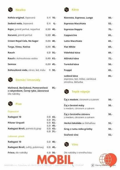 Pizzerie U Ledňáčka - Pod Kaštany 525 - pizzerie v pod kaštany 525