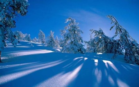 Tapeta na monitor | Zima | zima, sníh, krásně, bílé pozadí