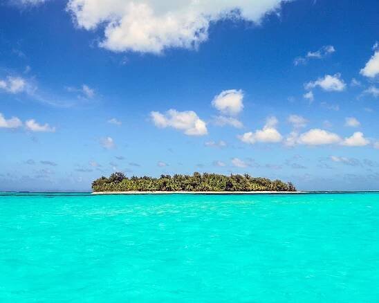An island covered in lush tropical trees in the centre of a turquoise ocean.
