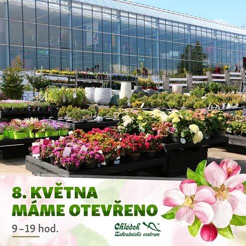 Státní svátek 8.5. 2022 otevřeno : Novinka - Zahradnictví Chládek