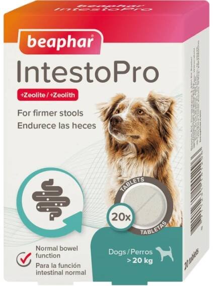 Doplňky stravy Tablety Beaphar IntestoPro L pro velké psy 20 tablet