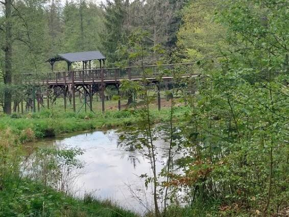 Lázeňské lesy a parky Karlovy Vary, příspěvková organizace foto 3