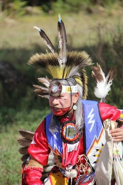 chippewa cree people