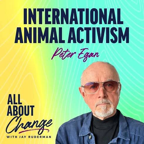 ALL ABOUT CHANGE | Episodes