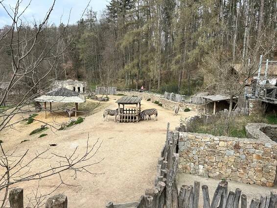 Zoo Jihlava - SDH Moravská Nová Ves 