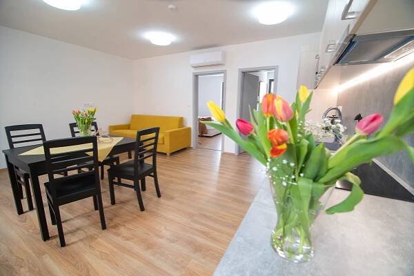 Apartmán Solaris Penzion U Vinaře