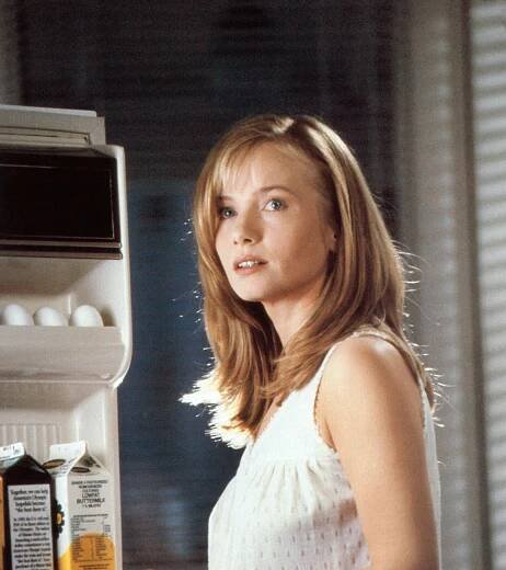 Rebecca De Mornay in The Hand That Rocks the Cradle.