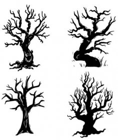 Suché stromy černé a bílé ručně kreslené ilustrace sada — Stockový vektor