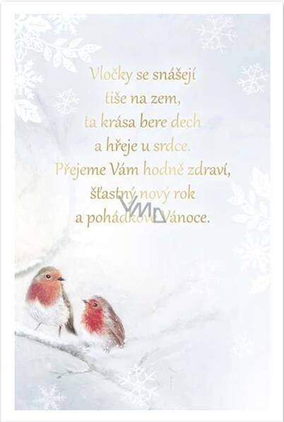 Ditipo Hrací přání Pohádkové Vánoce Melodie - Tři oříšky 224 x 157 mm - VMD drogerie a parfumerie