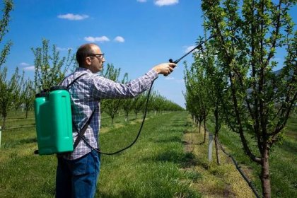Používání pesticidů dlouhodobě zatěžuje životní prostředí a škodí i lidem – Pěstujme.cz – tipy nejen pro zahradu