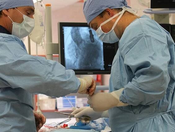 Když chlopeň nahradí srdeční vak prasete. Šetrná operace pomáhá i v Česku