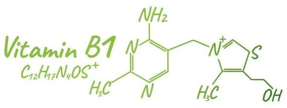 vitamin b1 štítek a ikona. logo chemického vzorce a struktury. vektorová ilustrace - formula 1 stock ilustrace