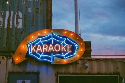 The Rules of Karaoke