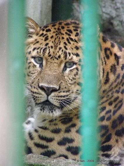 ZOO Děčín – cokolivokoli.cz