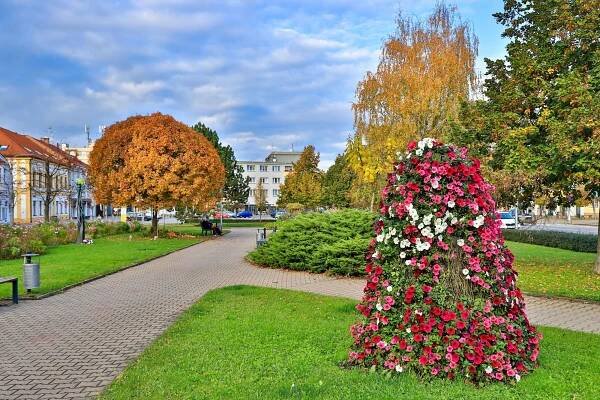Fotogalerie • Holice (Město) • Mapy.com