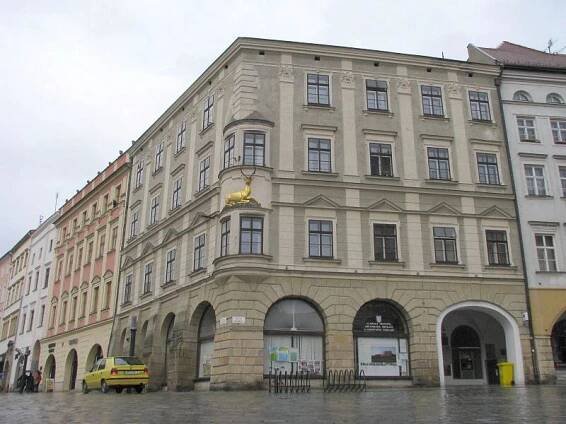 Dům U Zlatého jelena: proč se tak jmenuje?