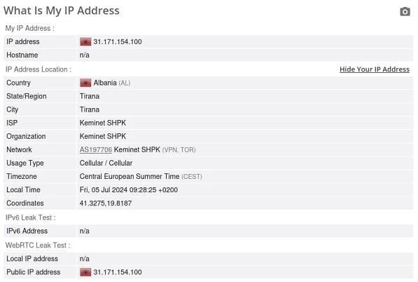 Wir konnten keine IPv4- und IPv6-Lecks feststellen