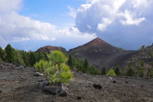 La Palma - nejkrásnější túry - Madeiran